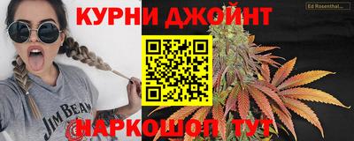 индика Лесосибирск