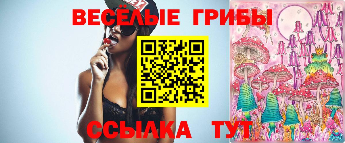 Псилоцибиновые грибы Psilocybine cubensis  Псилоцибиновые грибы GOLDEN TEACHER  Елец  Вход с VPN 