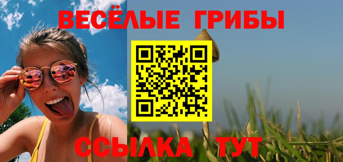 Псилоцибиновые грибы Magic Shrooms Елец